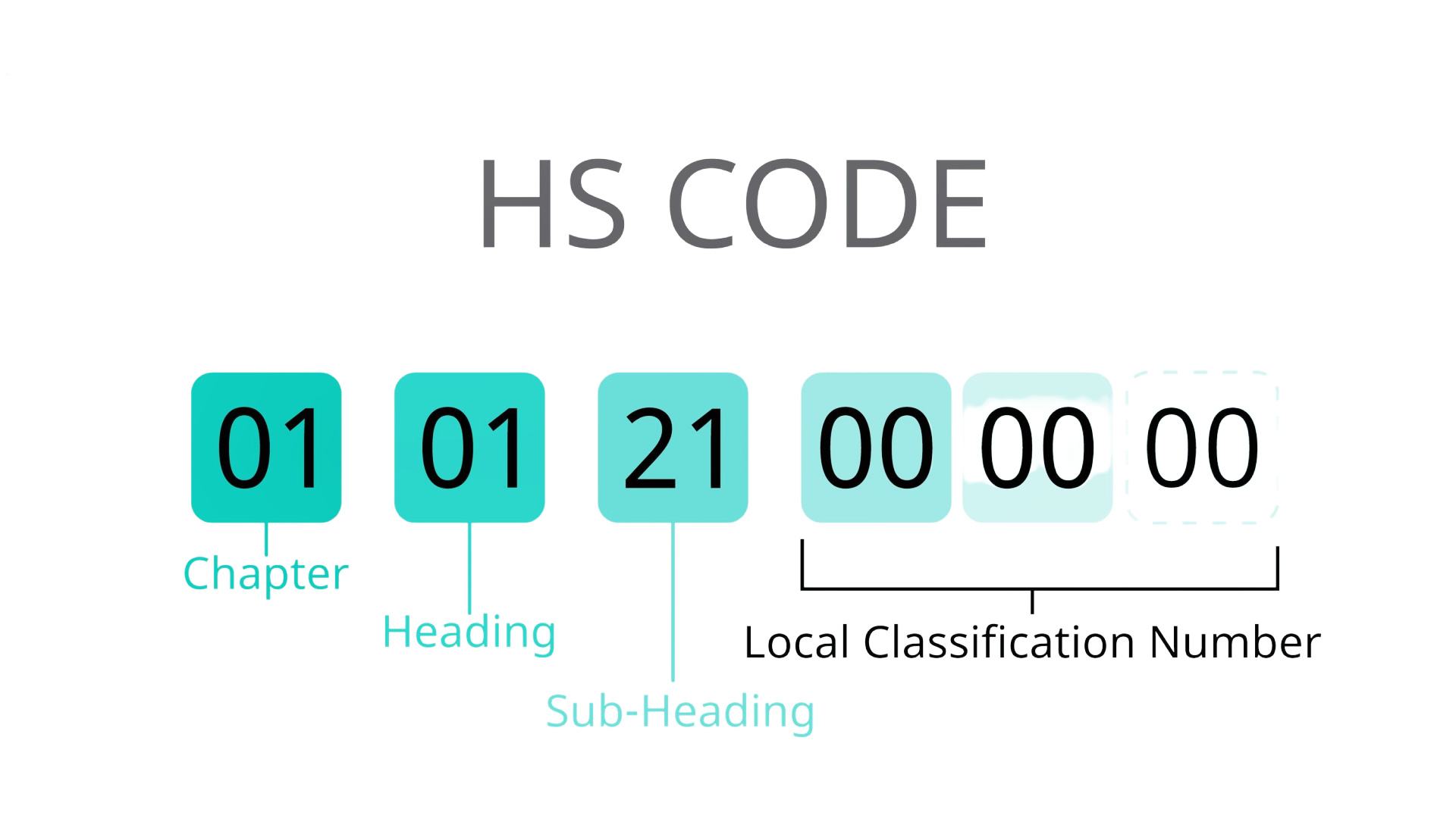 Harmonized System Nomenclature For The Classification Of Goods HS Codes 